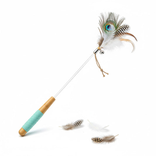 Cat toy with peacock feather on a white background