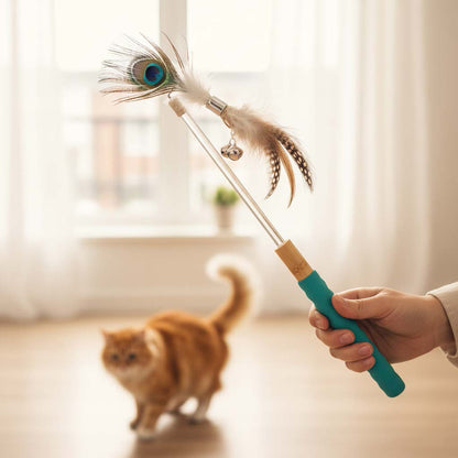 Person holding a cat toy with peacock feathers and a cat playing with it.