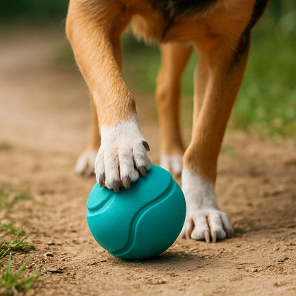 Dog paw holding a blue ball on a natural ground